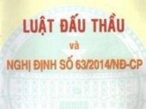 Nghị định 63/2014/NĐ-CP